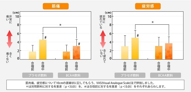 BCAAの本当の筋トレ効果