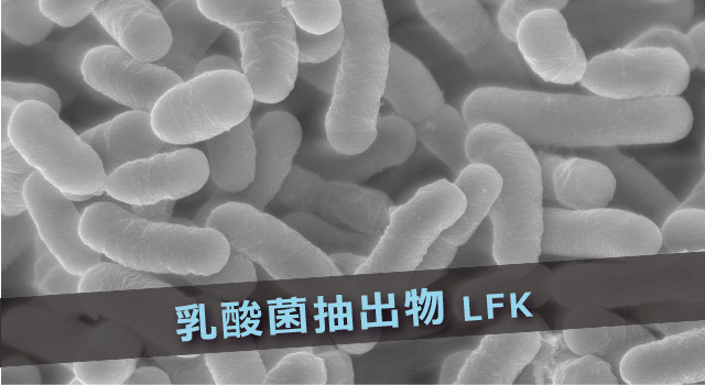 乳酸菌抽出物LFKの効果